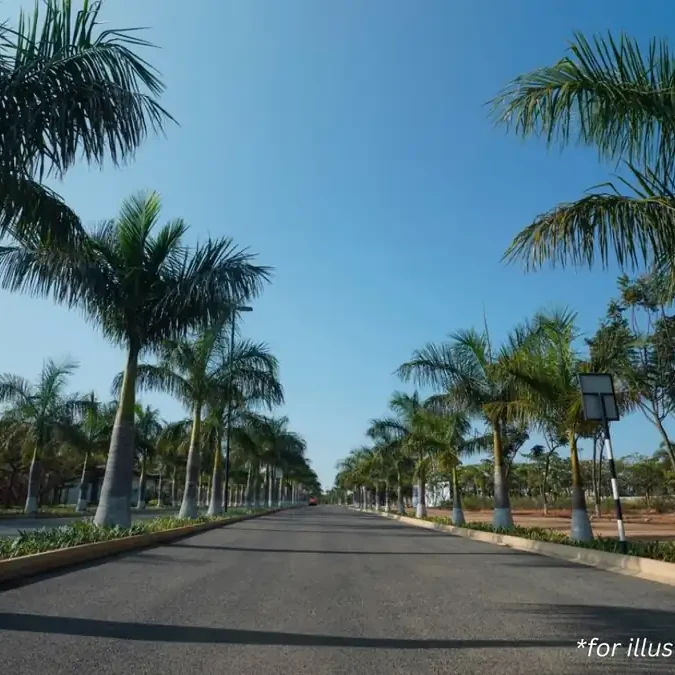 Palm-lined avenue and arrival gate, artist impression